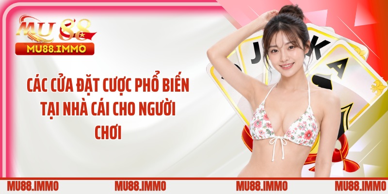 Các cửa đặt cược phổ biến tại nhà cái cho người chơi