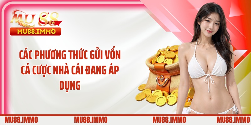 Các phương thức gửi vốn cá cược nhà cái đang áp dụng